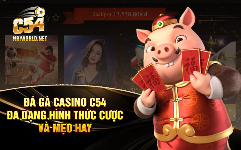 Đá Gà Casino C54 - Đa Dạng Hình Thức Cược Và Mẹo Hay