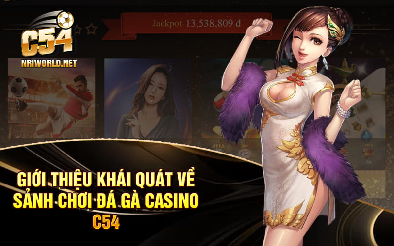 Giới thiệu khái quát về sảnh chơi Đá Gà Casino C54