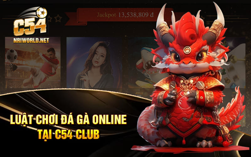 Luật chơi Đá Gà Online tại C54 club